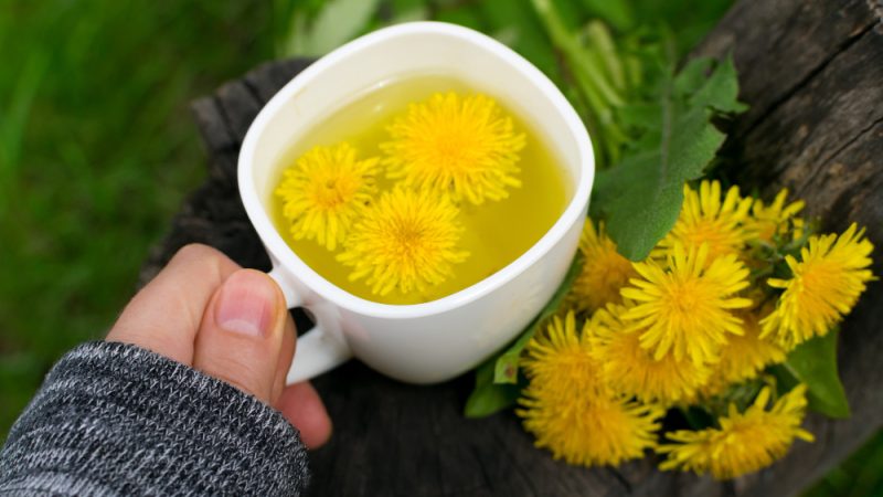 Ceaiul din flori de păpădie: Detoxifierea naturală pentru ficat și rinichi