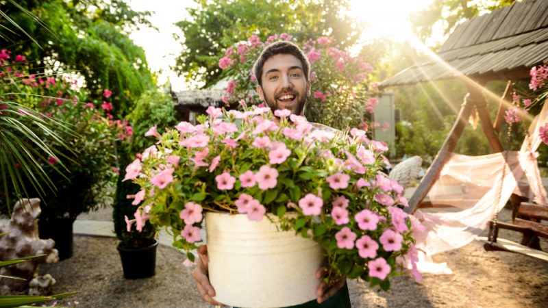 Top 5 plante care îți vor umple grădina de flori primăvara