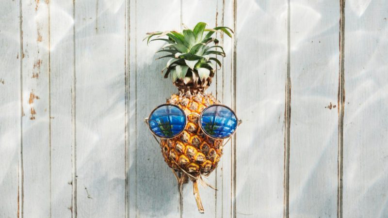 Plante decorative în suporturi suspendate pentru un decor aerisit